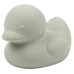 Jouet De Bain Canard Vert