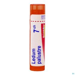 Ledum Palustre 7ch granules 4g