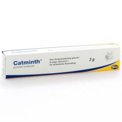 Catminth 40 mg/g pâte orale seringue préremplie 3g