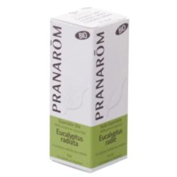 Huile Essentielle Eucalyptus Radiata Bio  10ml