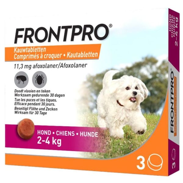 Frontpro 11mg Chien 2-4kg 3 comprimés à mâcher